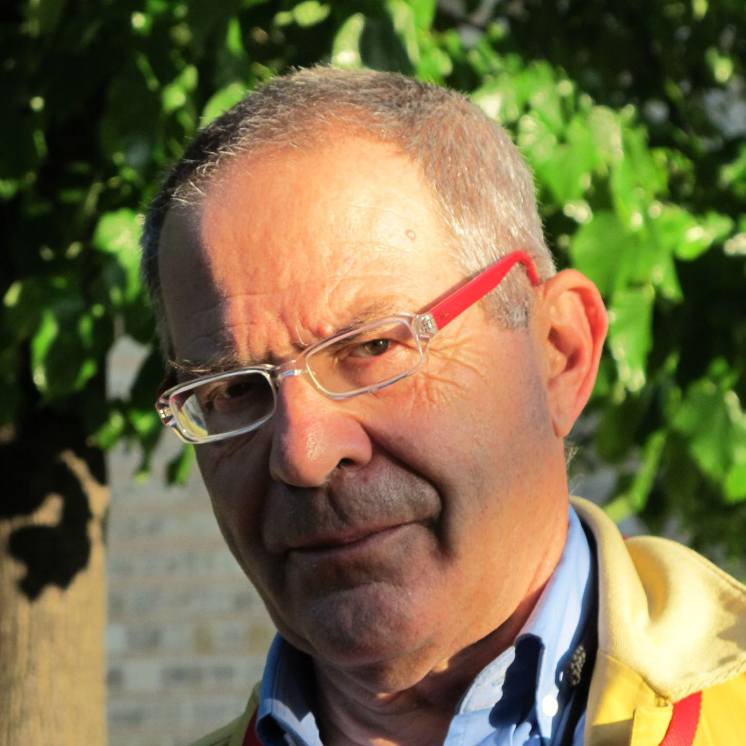 LUIGI BERNARDI