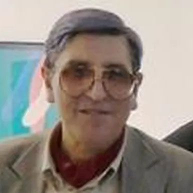LUIGI FATICHI